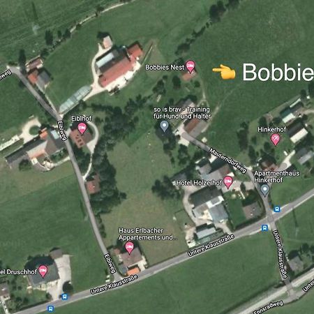 Bobbies Nest Villa Schladming Exterior photo