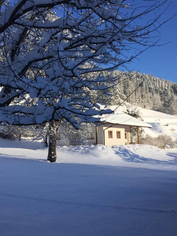 Bobbies Nest Villa Schladming Exterior photo