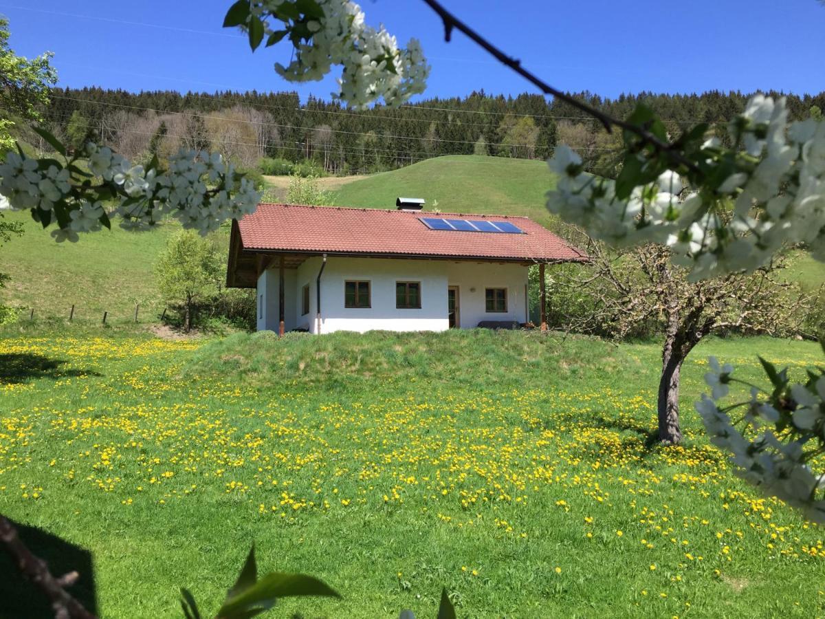 Bobbies Nest Villa Schladming Exterior photo